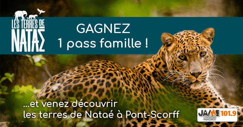 jeu_terres_de_natae