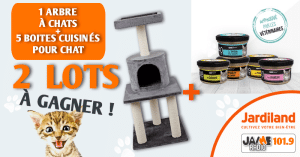 Jardiland arbre à chat 2022