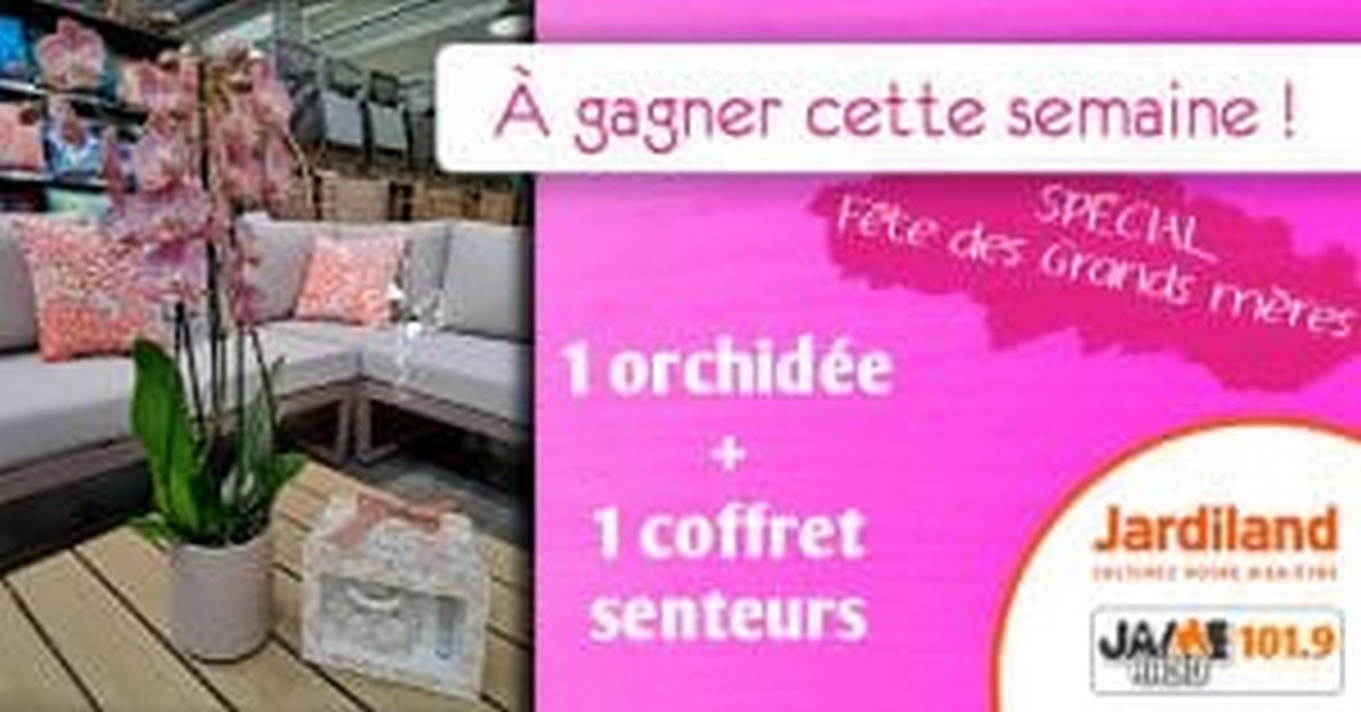 fête des grands-mères Jardiland 2023