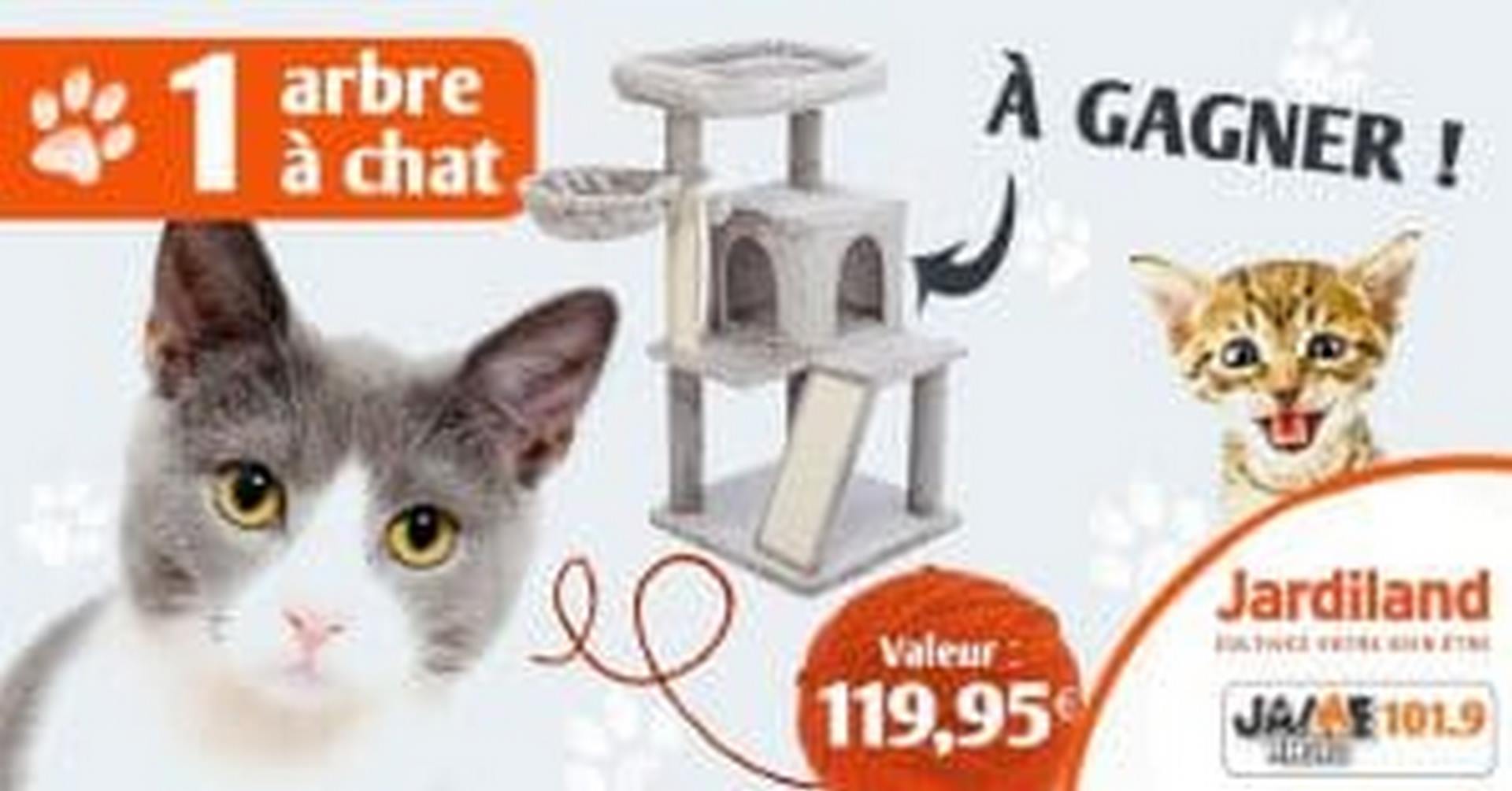 Gagnez 1 arbre à chat d’une valeur de 119,95 € avec JARDILAND Lanester !