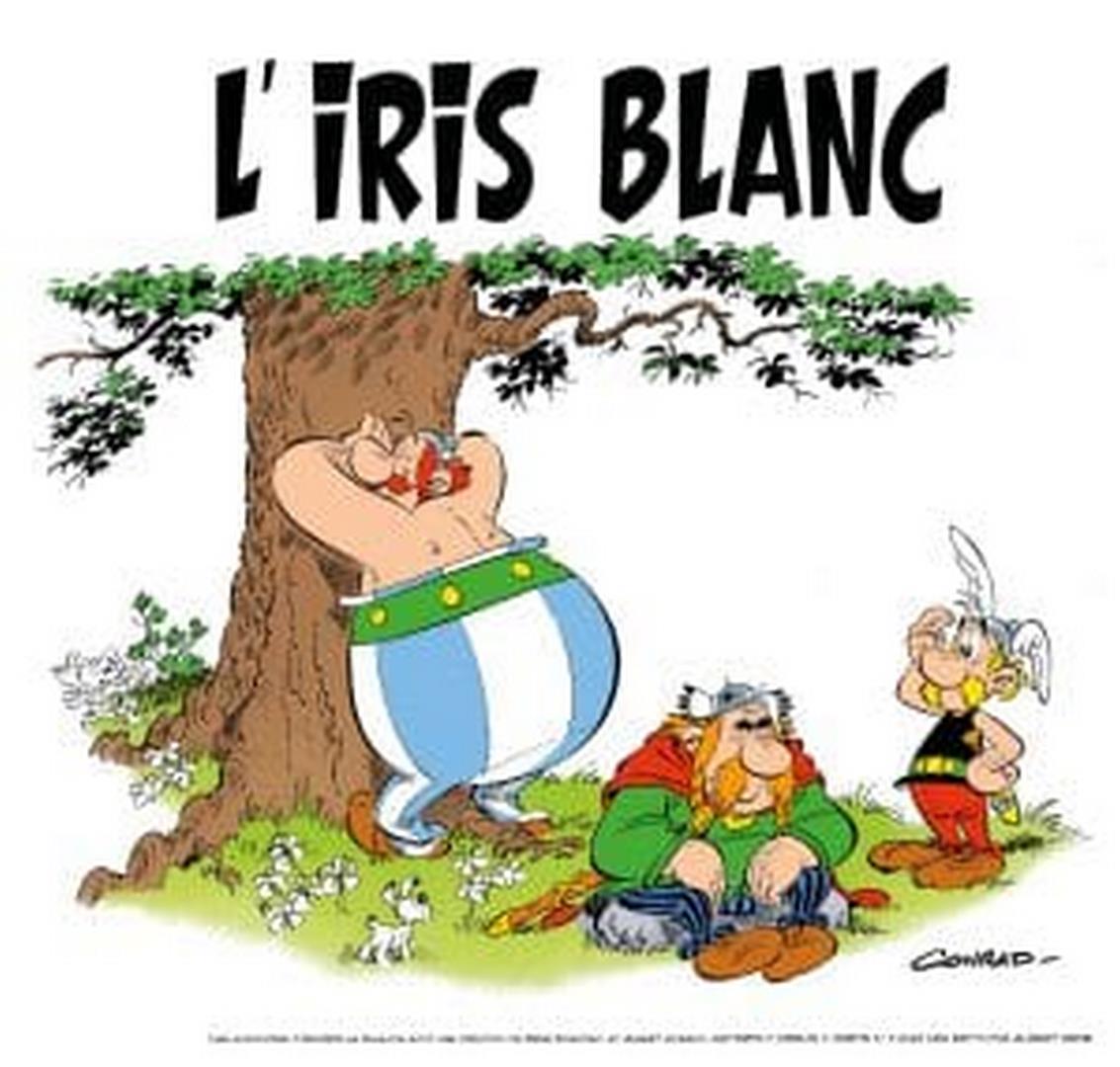 Astérix l'iris blanc