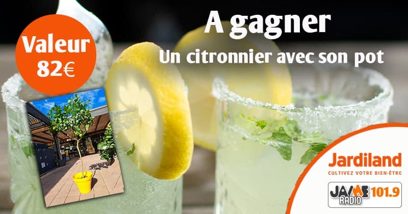 Gagnez un magnifique citronnier avec Jardiland !