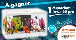 Gagnez un magnifique aquarium avec Jardiland Lanester !