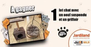 Gagnez un magnifique lot spécial chat avec Jardiland Lanester !