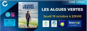 les algues vertes