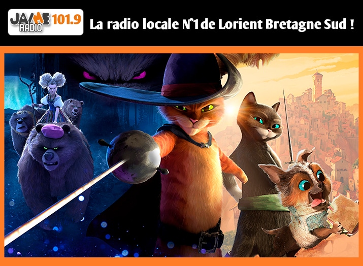 Séance de Ciné plein air reportée : Découvrez "Le Chat Potté 2" le 26 Août à Quéven