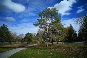 Lorient : les travaux du futur parc du Moustoir ont commencé