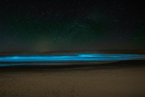 À la découverte du plancton cet après-midi à Port-Louis !