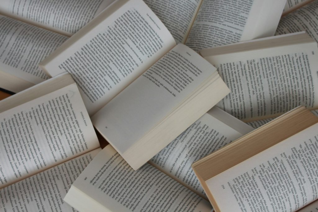 Larmor-Plage : la biblio-plage de Port-Maria est de retour pour l’été