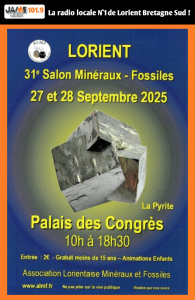 Le Salon Minéraux & Fossiles revient les 27 et 28 septembre au Palais des Congrès de Lorient. Découvrez la pyrite, de nombreux exposants, conférences et animations pour enfants.