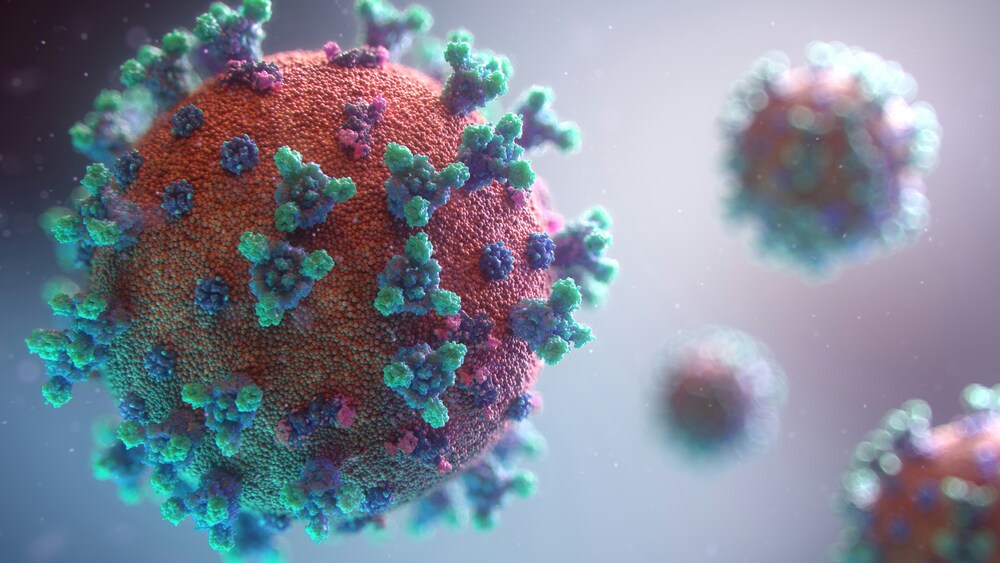 Les services vétérinaires du Morbihan prennent des mesures préventives après le transport de bovins en contact avec un foyer de Dermatose nodulaire dans le Jura.