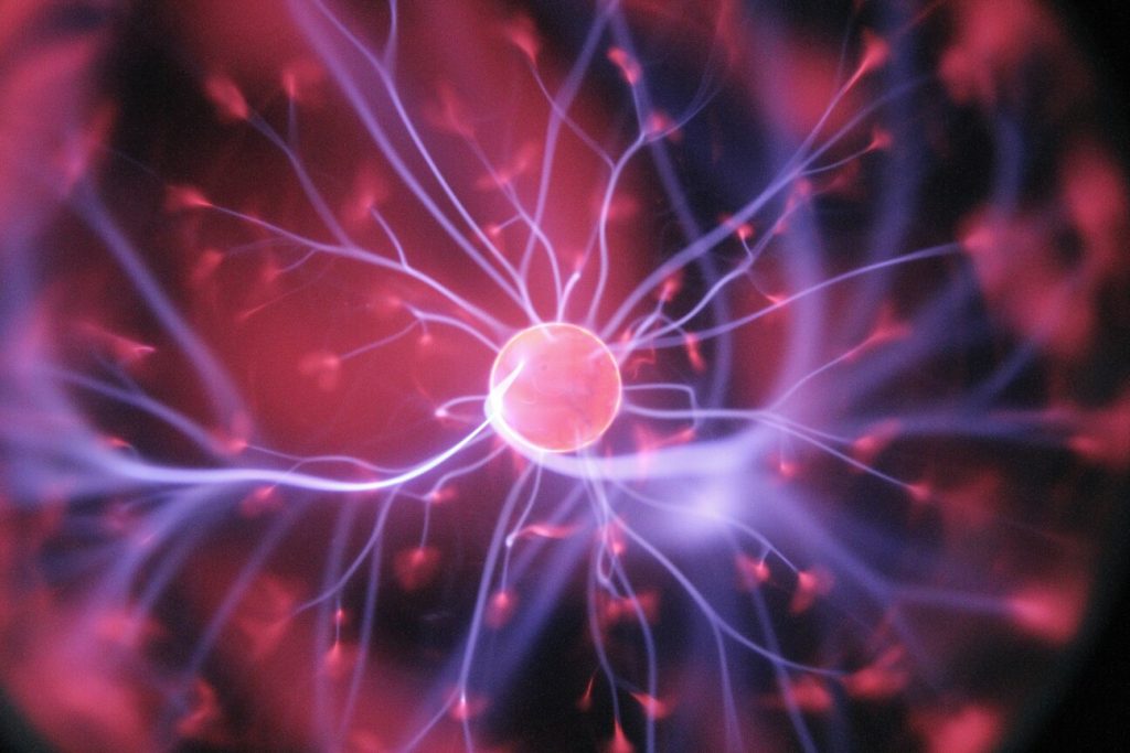 La Fête de la science démarre dans le pays de Lorient. Dix jours d’ateliers, expositions et débats pour éveiller la curiosité scientifique des jeunes.