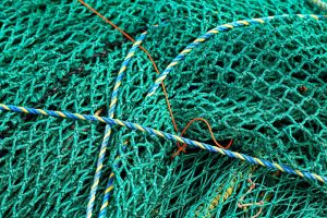 Le Golfe de Gascogne sera à nouveau fermé à la pêche en février pour protéger les dauphins. Une mesure efficace l’hiver dernier avec 60 % de captures en moins.