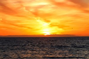 Les victimes de l’explosion d’un obus à Groix en 2014 pourraient recevoir 160 000 euros. Décision du tribunal administratif dans 15 jours.