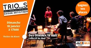 Gagnez vos places pour “Des oiseaux la nuit” par le Trio…s !