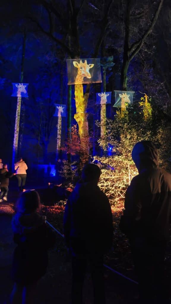 Bravo à Sylvain Thomas qui a remporté un pass famille pour “Les Nuits de Branféré” en jouant sur notre site internet.