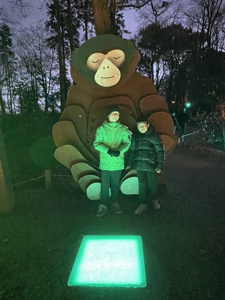 Mikael Le Moigne – Gagnant des places pour “Les Nuits de Branféré” !