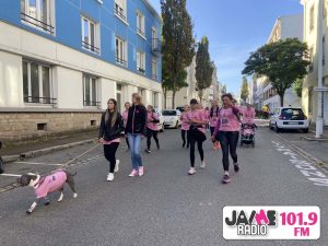 IMG 4494