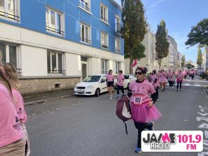 IMG 4521
