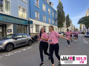 IMG 4542