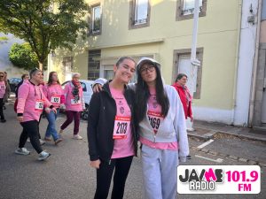 IMG 0787