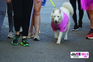 IMG 2569
