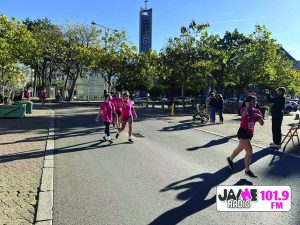 IMG 3996
