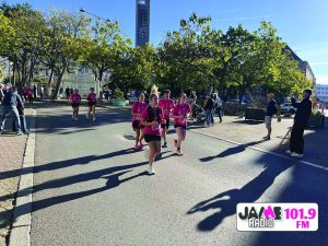 IMG 4053
