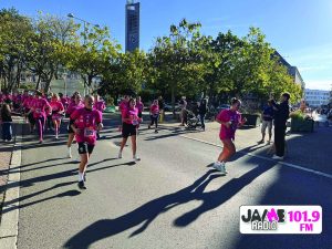 IMG 4082