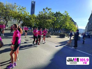 IMG 4213