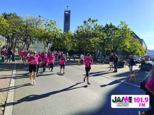 IMG 4236