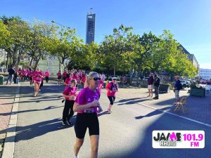 IMG 4237