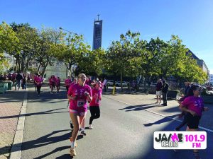 IMG 4238