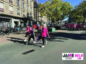 IMG 4515