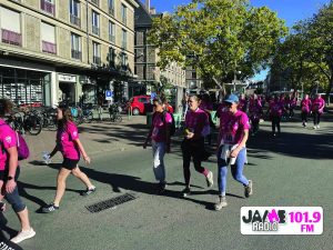 IMG 4526