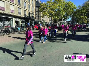 IMG 4529