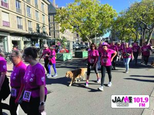 IMG 4581
