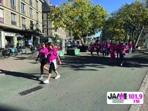 IMG 4595