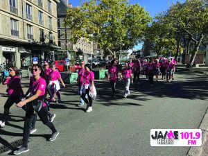 IMG 4661