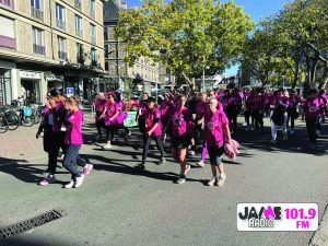 IMG 4674