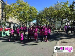 IMG 4766